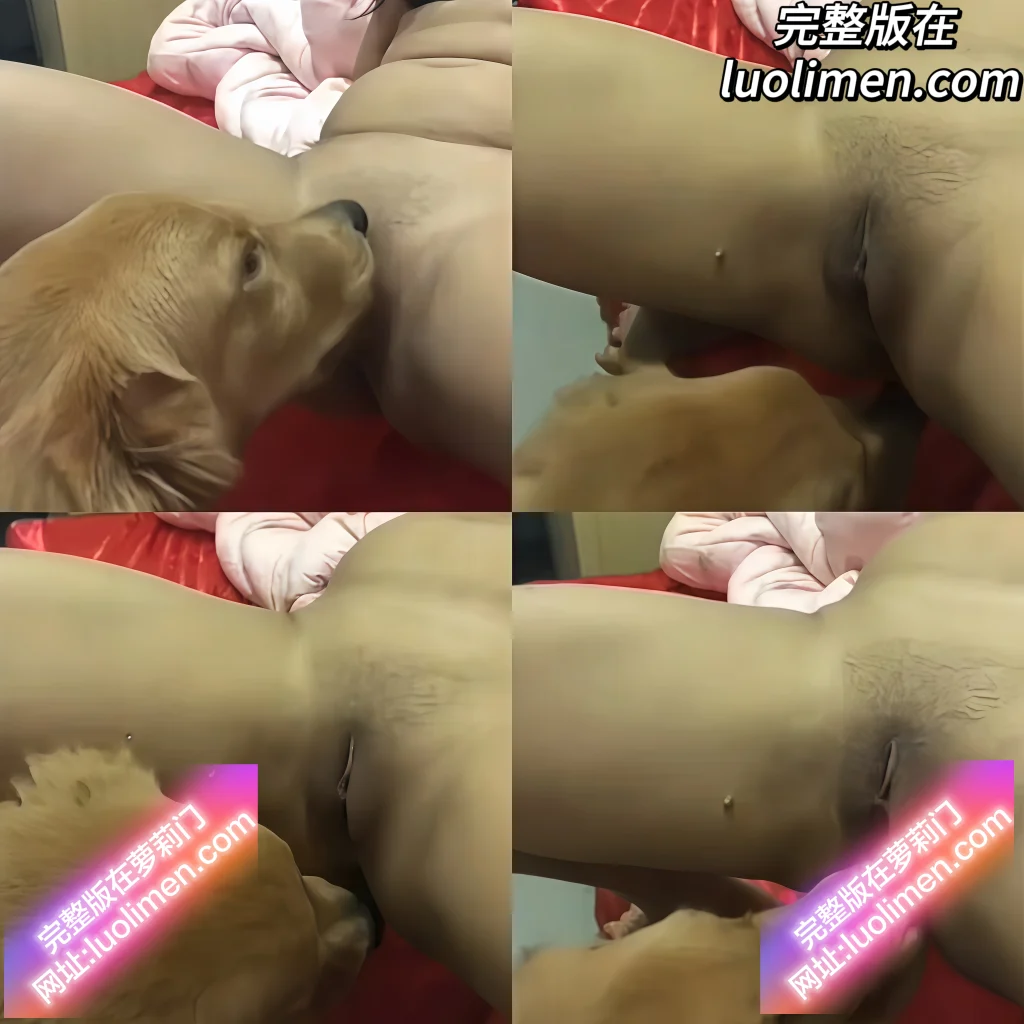 人兽大战 - 大黄狗禽兽大发女主人翘腿爱犬舔蜜穴娇喘享受全过程-萝莉反差女神