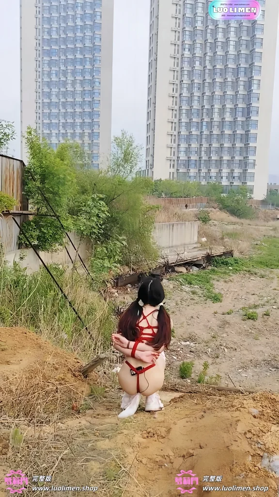 图片[10]-一颗露露子 – [素菜] 5.05小时 SM调教户外露出福利订阅 -萝莉反差女神